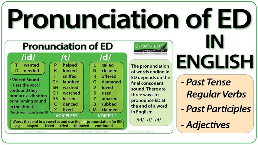 When learning English, many words need -ed added to follow correct grammar (Image: sourced from the Internet).