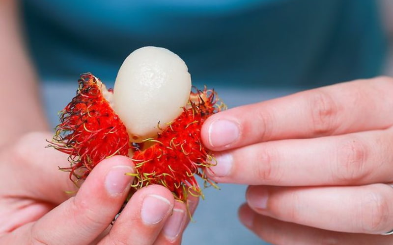 Dù rất ít nhưng cũng có thể xảy ra một vài trường hợp dị ứng khi ăn chôm chôm. (Ảnh: Sưu tầm Internet)