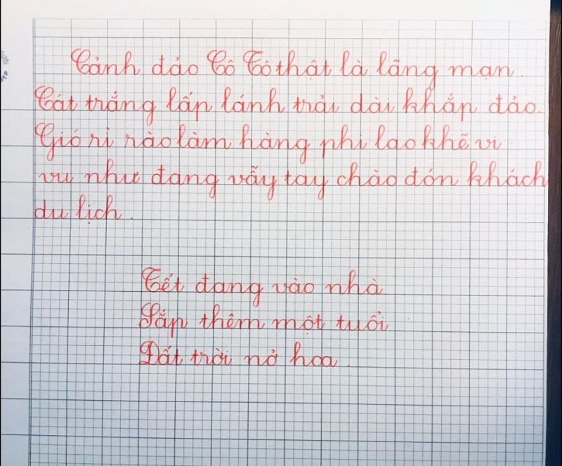 Mẫu số 2. (Ảnh: Sưu tầm Internet)