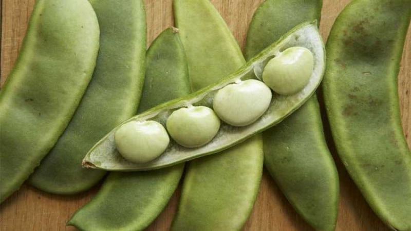 Trong 100g đậu lima có đến 5g chất xơ, chúng chứa rất ít chất béo trong khi không có cholesterol.(Ảnh: Sưu tầm Internet)