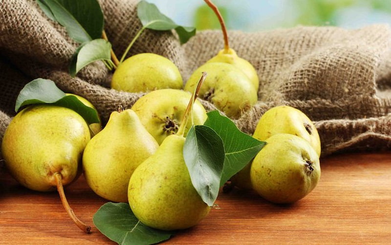 Theo Cơ sở Dữ liệu Dinh dưỡng Quốc gia (USDA), quả lê là một trong những thực phẩm cung cấp nguồn chất xơ tuyệt vời. (Ảnh: Sưu tầm Internet)