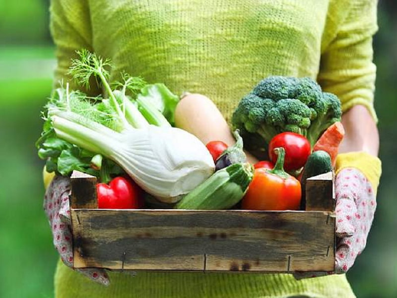 Nếu bổ sung quá 50 gram chất xơ mỗi ngày có thể ảnh hưởng đến việc hấp thụ chất dinh dưỡng của cơ thể. (Ảnh: Sưu tầm Internet)