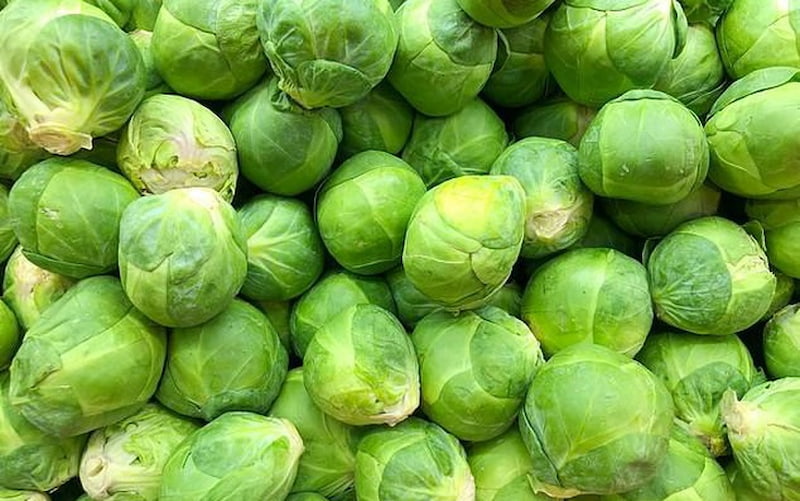 Trong 100g rau mầm chứa khoảng 2.6 gam chất xơ. (Ảnh: Sưu tầm Internet)