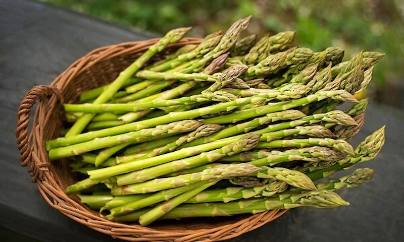 Măng tây nằm trong danh sách những loại rau giàu chất dinh dưỡng nhất. (Ảnh: Sưu tầm Internet)