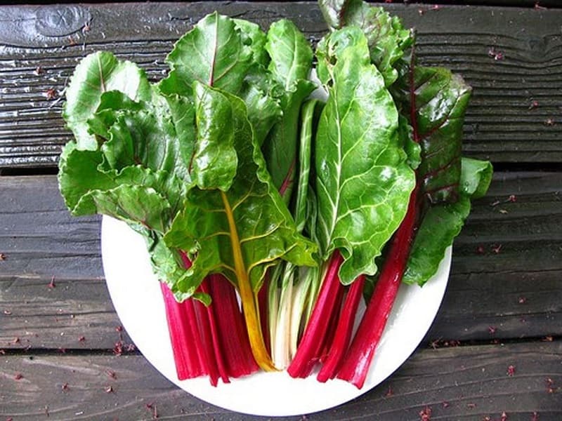 Cải cầu vồng giàu dinh dưỡng được nhiều người yêu thích. (Ảnh: Sưu tầm Internet)