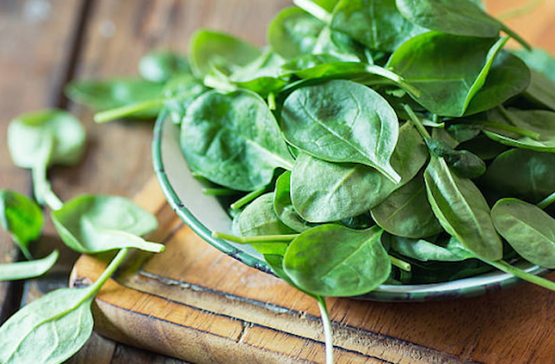 Những lưu ý khi ăn rau mồng tơi bạn cần biết. (Ảnh: Sưu tầm Internet)