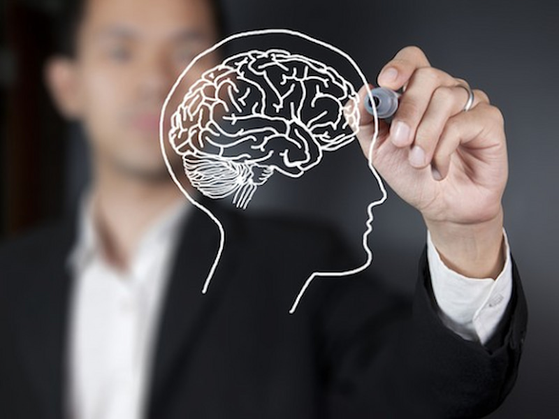 Ăn rau mồng tơi giúp hỗ trợ điều trị bệnh Alzheimer và ngăn ngừa chứng mất trí nhớ. (Ảnh: Sưu tầm Internet)