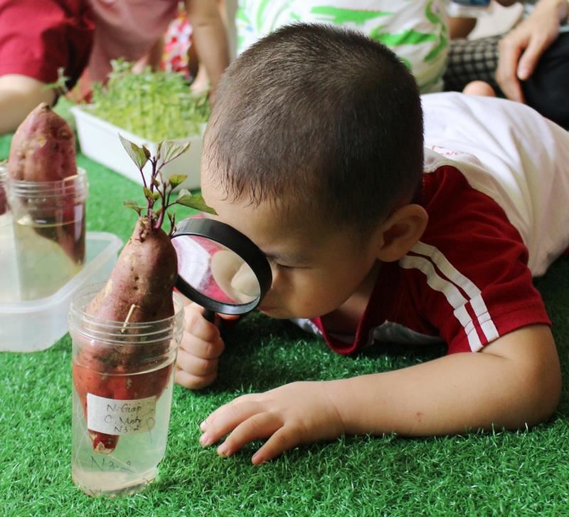 Dạy trẻ quan sát có chủ đích. (Ảnh: Internet)