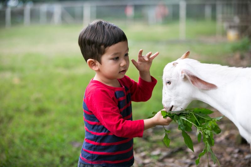 Thử trải nghiệm mọi thứ đã đọc. (Ảnh: Internet)