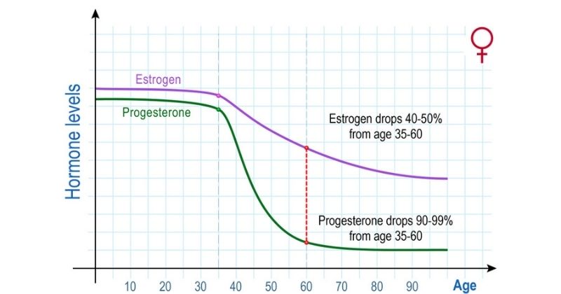 Sau khi sinh, nồng độ các hormone trong cơ thể mẹ bị thay đổi và suy giảm rõ rệt (Ảnh: Sưu tầm Internet)