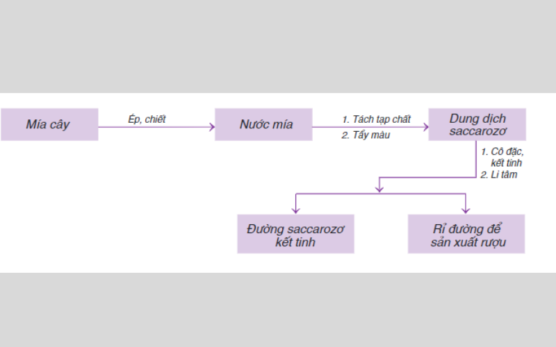 Sơ đồ tóm tắt quá trình sản xuất đường. (Ảnh: Chụp màn hình)