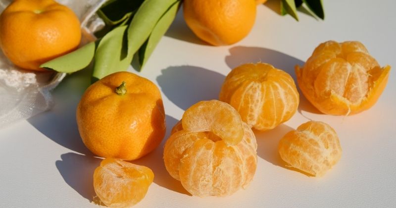 Luôn chuẩn bị sẵn rau và trái cây (Ảnh: Sưu tầm Internet)