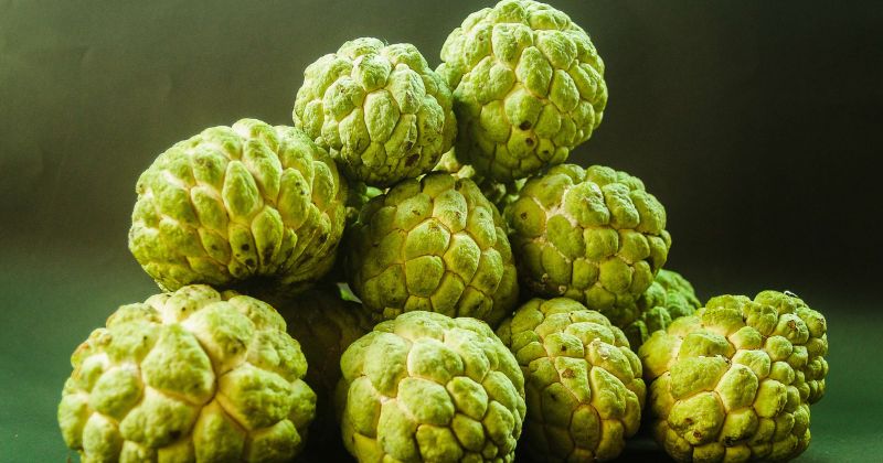 Mẹ bầu sau sinh 1 tháng ăn na giúp lợi sữa (Ảnh: Sưu tầm Internet)