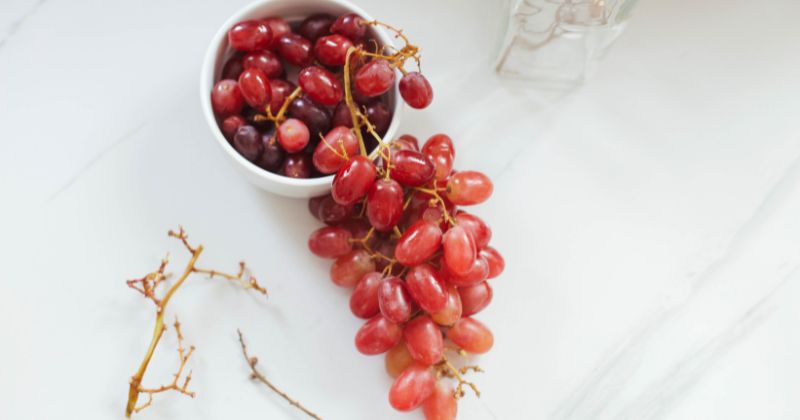 Phụ nữ sau sinh 1 tháng nên ăn nho để nâng cao sức khỏe (Ảnh: Sưu tầm Internet)