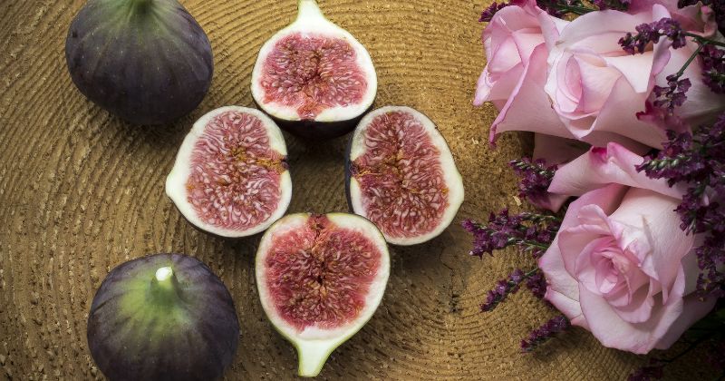 Các mẹ sau sinh mổ 1 tháng nên ăn sung để mau phục hồi vết thương (Ảnh: Sưu tầm Internet)