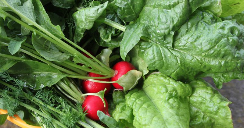 Phụ nữ sau sinh 1 tháng nên bổ sung các loại rau củ (Ảnh: Sưu tầm Internet)