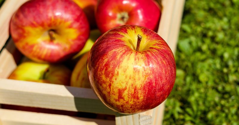 Sau khi sinh con 1 tháng các mẹ nên bổ sung táo vào thực đơn ( Ảnh: Sưu tầm Internet)