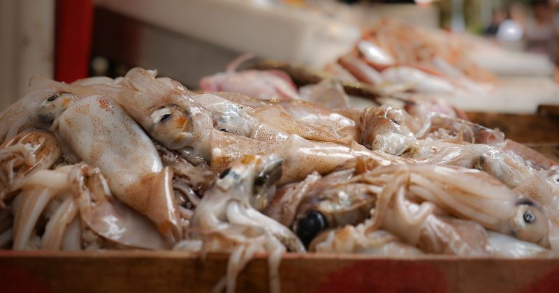 Mẹ sau sinh 1 tháng ăn mực được không (Ảnh: Sưu tầm Internet)