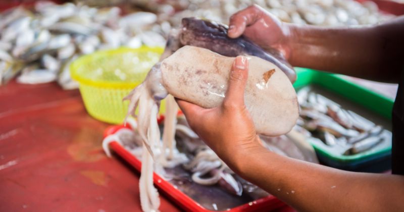 Lưu ý khi mẹ sau sinh 1 tháng ăn mực (Ảnh: Sưu tầm Internet)