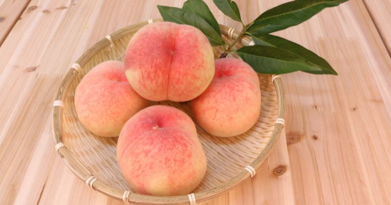Phụ nữ sau sinh 2 tháng nên kiêng ăn đào vì dễ gây xuất huyết (Ảnh: Sưu tầm Internet)