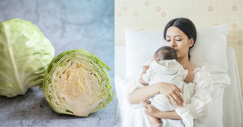 Mẹ sau sinh hoàn toàn có thể ăn được bắp cải. (Ảnh: Sưu tầm internet)