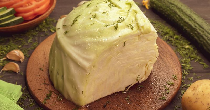 Các mẹ sau sinh đắp quá nhiều lá bắp cải có thể làm tắc sữa ( Ảnh: Sưu tầm Internet)