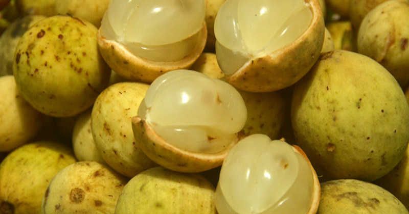 Ăn bòn bon rất tốt cho mẹ sau sinh (Ảnh: Sưu tầm Internet)