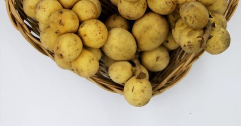 Bòn bon giàu vitamin C giúp nâng cao sức đề kháng (Ảnh: Sưu tầm Internet)