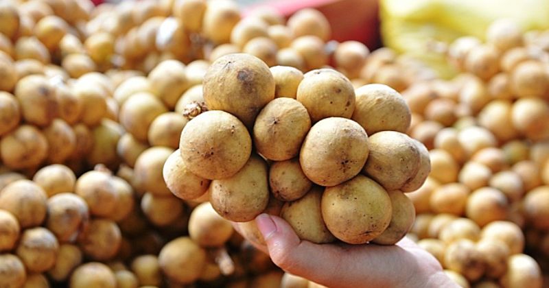 Ăn bòn bon sau khi sinh giúp ngừa thiếu máu (Ảnh: Sưu tầm Internet)