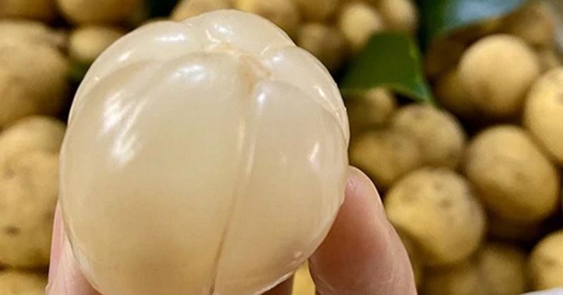 Hạt bòn bon chứa alkaloid - là chất độc đối với cơ thể (Ảnh: Sưu tầm Internet)