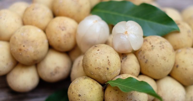 Vỏ bòn bon chứa acid lansium không tốt cho sức khỏe (Ảnh: Sưu tầm Internet)