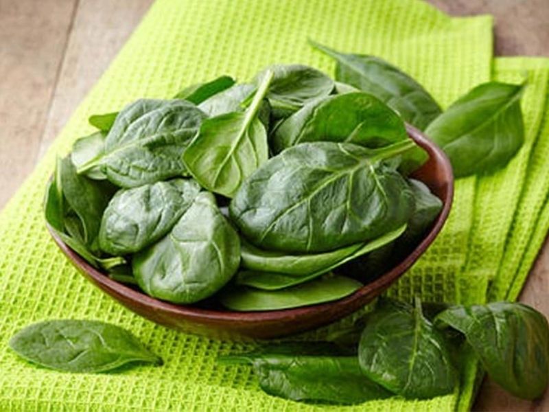 Cải bó xôi là loại thực phẩm chứa hàm lượng dinh dưỡng cao. (Ảnh: Nguồn Internet)