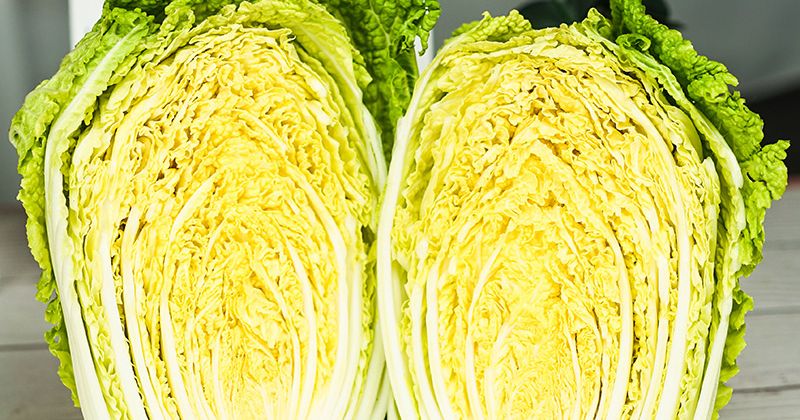 Ăn cải thảo giúp giảm cân sau sinh hiệu quả (Ảnh: Sưu tầm Internet)