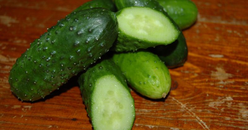 Mẹ sau sinh không nên ăn dưa chuột vì nhiều tác hại (Ảnh: Sưu tầm Internet)