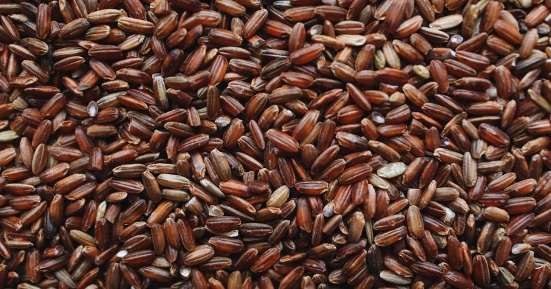 Gạo lứt chứa hàm lượng dinh dưỡng cực kỳ phong phú, tốt cho mẹ sau sinh (Ảnh: Sưu tầm Internet)