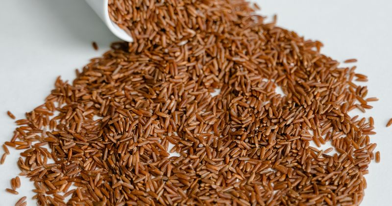 Ăn gạo lứt sau sinh rất cho cho hệ tiêu hóa (Ảnh: Sưu tầm Internet)