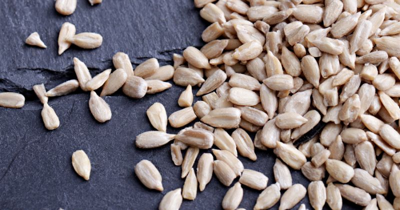 Ăn hạt hướng dương giúp ngăn ngừa bệnh tim mạch (Ảnh: Sưu tầm Internet)