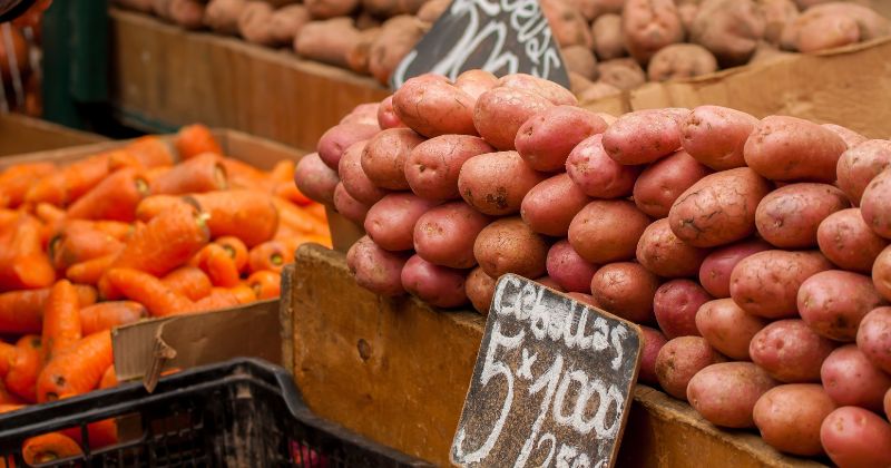 Ăn khoai lang có tác dụng cân bằng và điều chỉnh đường huyết sau sinh (Ảnh: Sưu tầm Internet)