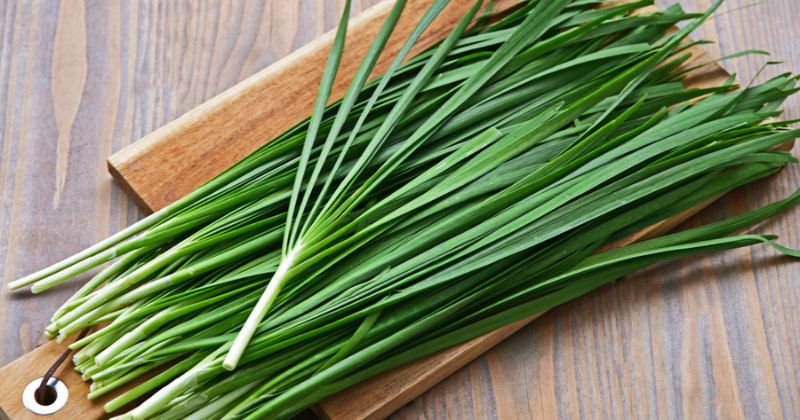 Lá hẹ giúp ngừa ung thư cực kỳ tốt (Ảnh: Sưu tầm Internet)