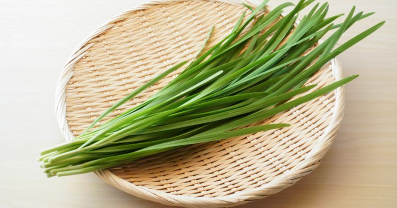 Lá hẹ có tác dụng chữa bệnh cực kỳ hiệu quả (Ảnh: Sưu tầm Internet)