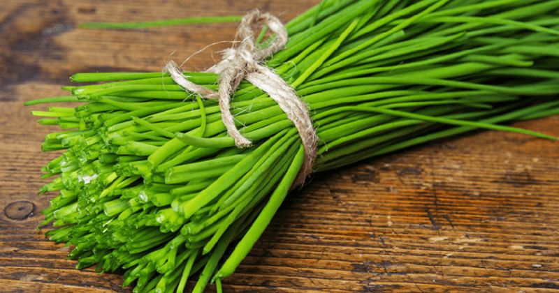 Lá hẹ có tác dụng trị cảm, ho sốt hữu hiệu (Ảnh: Sưu tầm Internet)