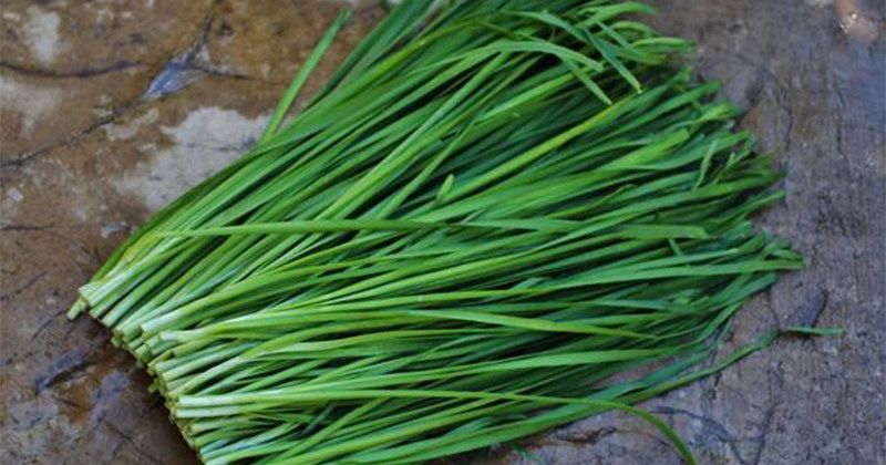Lá hẹ có tính kháng viêm cực kỳ tốt (Ảnh: Sưu tầm Internet)