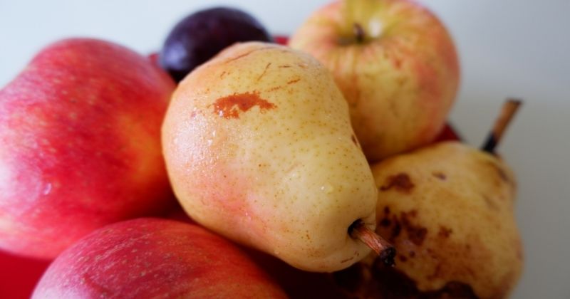 Lê chứa thành phần dinh dưỡng rất phong phú (Ảnh: Sưu tầm Internet)