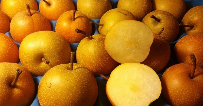 Những lưu ý khi ăn quả lê sau khi sinh (Ảnh: Sưu tầm Internet)