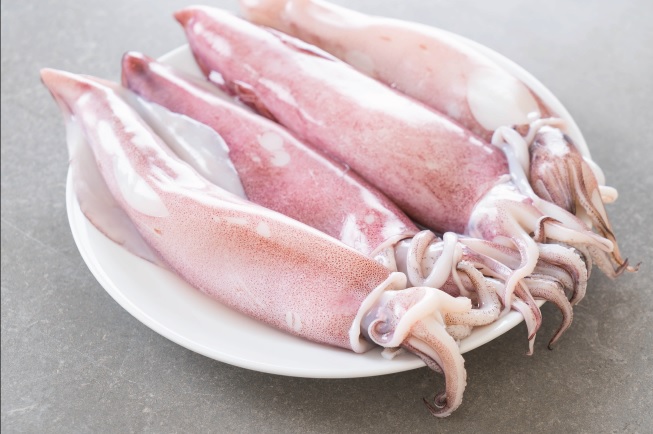 Mực là thực phẩm có nhiều dưỡng chất tốt cho sức khoẻ. (Ảnh: Sưu tầm internet)