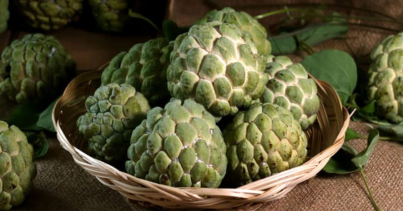 Một số lưu ý khi ăn na sau khi sinh mẹ nên biết (Ảnh: Sưu tầm Internet)