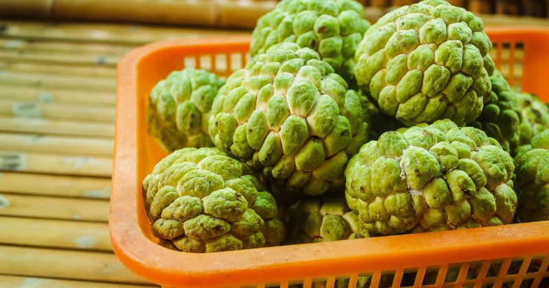 Na là loại trái cây có giá trị dinh dưỡng rất cao (Ảnh: Sưu tầm Internet)