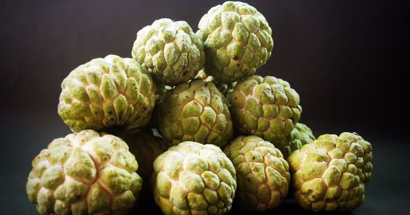 Mẹ sau sinh ăn na rất tốt cho sức khỏe (Ảnh: Sưu tầm Internet)