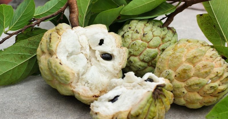 Ăn sau khi sinh rất tốt cho hệ tim mạch của mẹ (Ảnh: Sưu tầm Internet)