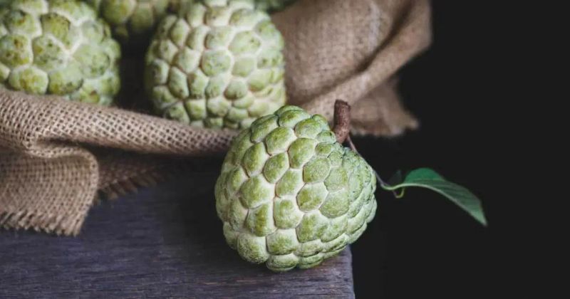 Quả na giàu vitamin nhóm B, tốt cho hệ thần kinh (Ảnh: Sưu tầm Internet)